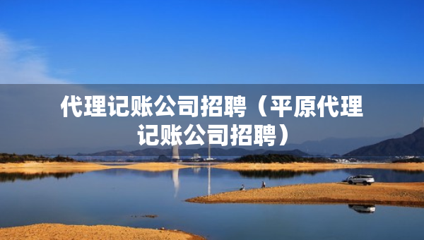 代理记账公司招聘（平原代理记账公司招聘）
