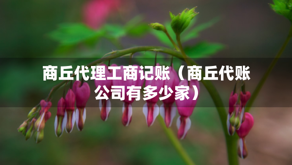 商丘代理工商记账（商丘代账公司有多少家）