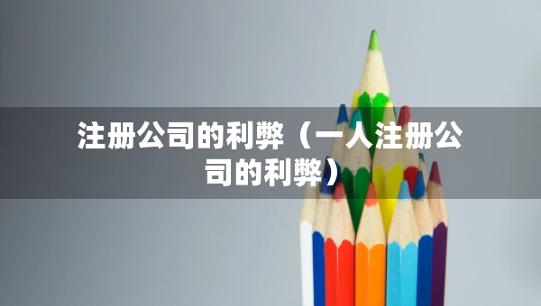 注册公司的利弊（一人注册公司的利弊）