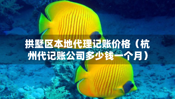 拱墅区本地代理记账价格（杭州代记账公司多少钱一个月）