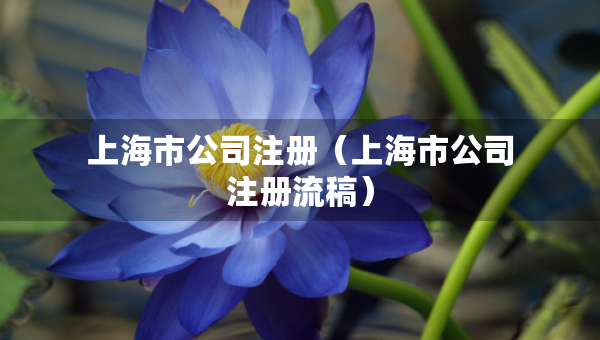 上海市公司注册（上海市公司注册流稿）