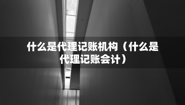 什么是代理记账机构（什么是代理记账会计）