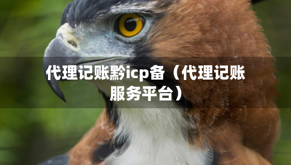 代理记账黔icp备（代理记账服务平台）