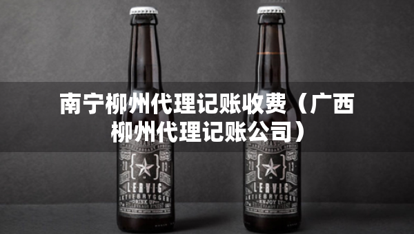 南宁柳州代理记账收费（广西柳州代理记账公司）