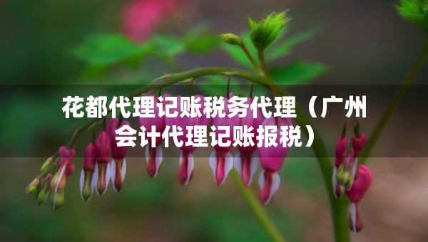花都代理记账税务代理（广州会计代理记账报税）