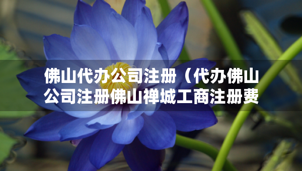 佛山代办公司注册（代办佛山公司注册佛山禅城工商注册费用）