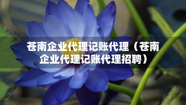 苍南企业代理记账代理（苍南企业代理记账代理招聘）