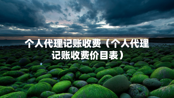 个人代理记账收费（个人代理记账收费价目表）