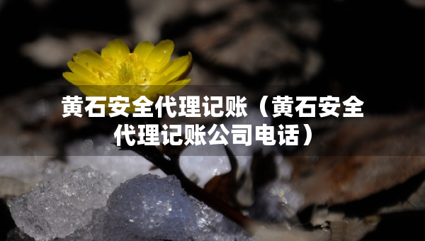 黄石安全代理记账（黄石安全代理记账公司电话）