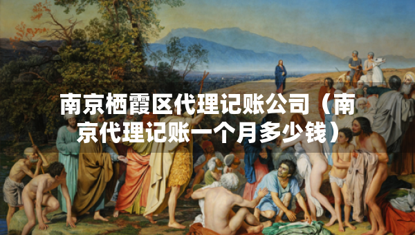 南京栖霞区代理记账公司（南京代理记账一个月多少钱）