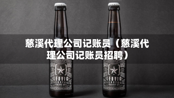 慈溪代理公司记账员（慈溪代理公司记账员招聘）