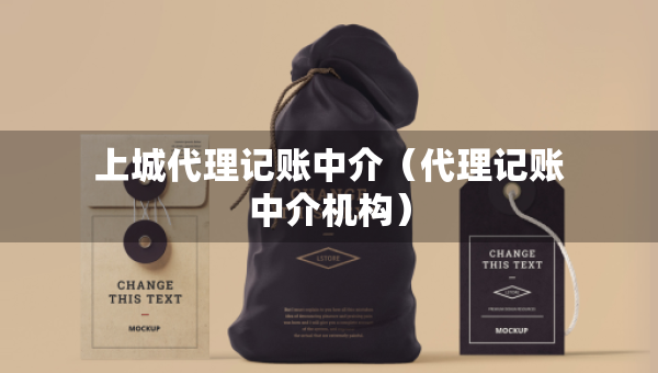 上城代理记账中介（代理记账中介机构）