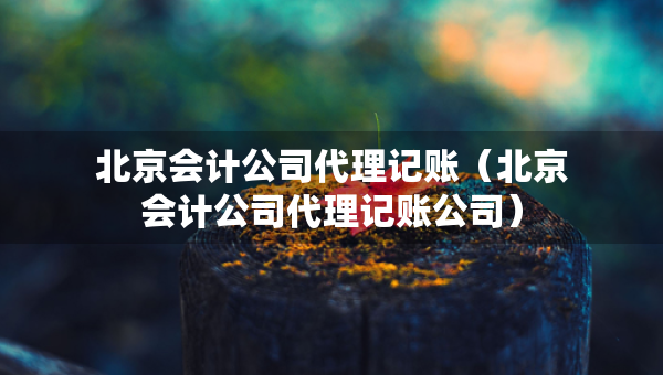 北京会计公司代理记账（北京会计公司代理记账公司）