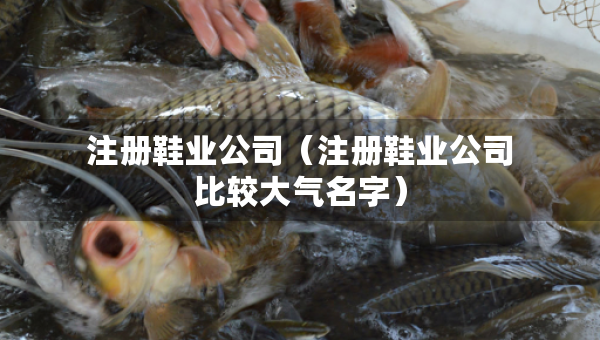 注册鞋业公司（注册鞋业公司比较大气名字）