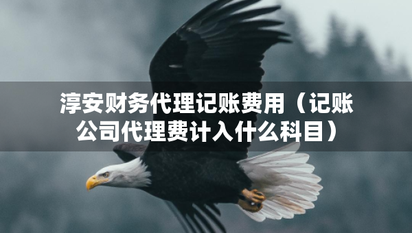 淳安财务代理记账费用（记账公司代理费计入什么科目）