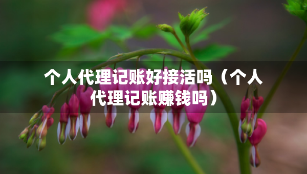 个人代理记账好接活吗（个人代理记账赚钱吗）