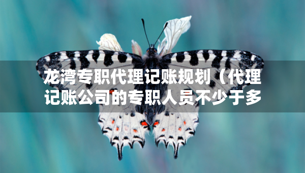 龙湾专职代理记账规划（代理记账公司的专职人员不少于多少人）