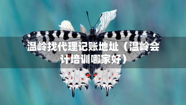温岭找代理记账地址（温岭会计培训哪家好）
