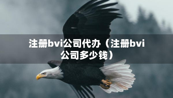注册bvi公司代办（注册bvi公司多少钱）