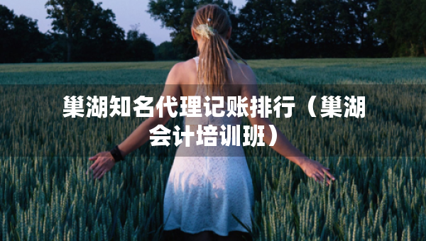 巢湖知名代理记账排行(巢湖会计培训班) 巢湖知名代理记账排行(巢湖会计培训班)