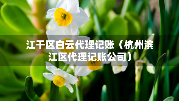 江干区白云代理记账（杭州滨江区代理记账公司）