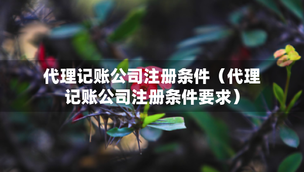 代理记账公司注册条件（代理记账公司注册条件要求）