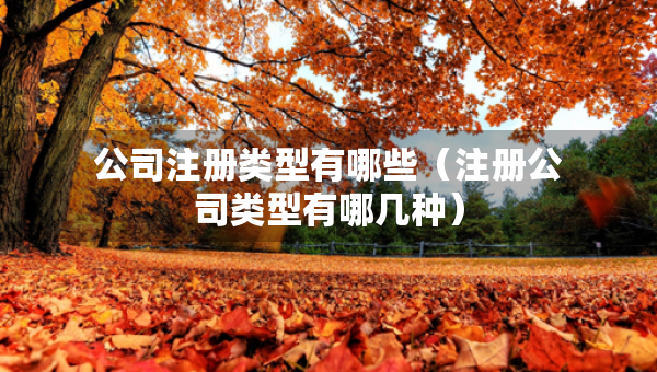 公司注册类型有哪些（注册公司类型有哪几种）