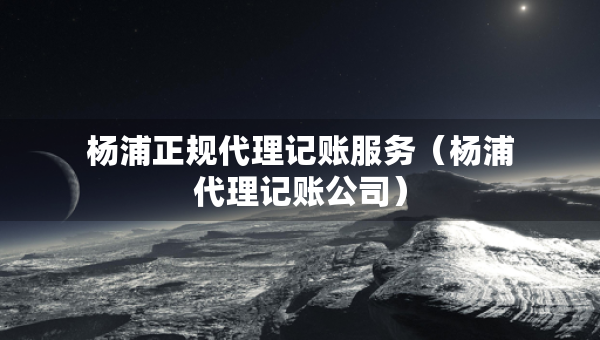杨浦正规代理记账服务（杨浦代理记账公司）