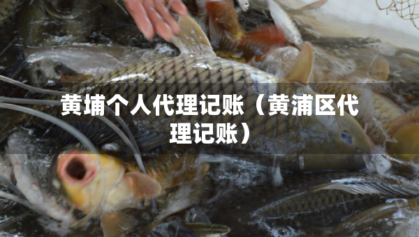 黄埔个人代理记账（黄浦区代理记账）
