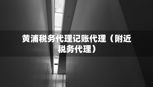 黄浦税务代理记账代理（附近税务代理）