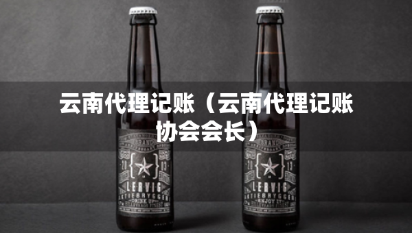 云南代理记账（云南代理记账协会会长）