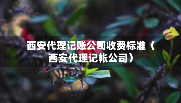 西安代理记账公司收费标准（西安代理记帐公司）