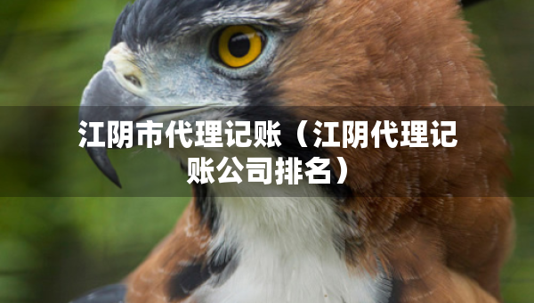江阴市代理记账（江阴代理记账公司排名）