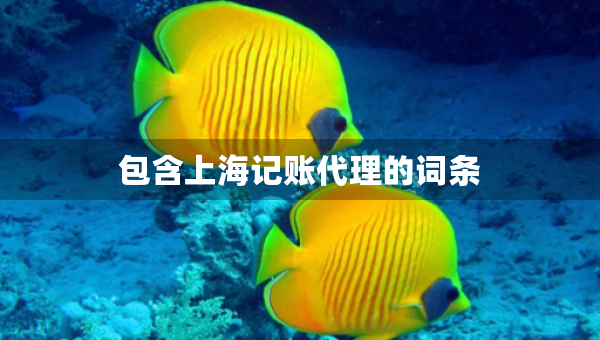 包含上海记账代理的词条