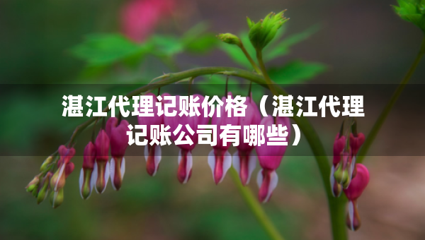 湛江代理记账价格（湛江代理记账公司有哪些）