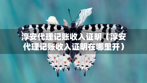 淳安代理记账收入证明（淳安代理记账收入证明在哪里开）