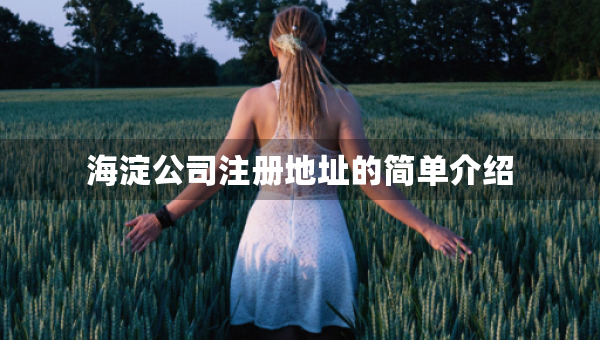 海淀公司注册地址的简单介绍