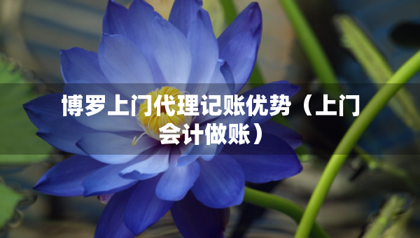 博罗上门代理记账优势（上门会计做账）