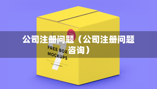 公司注册问题（公司注册问题咨询）