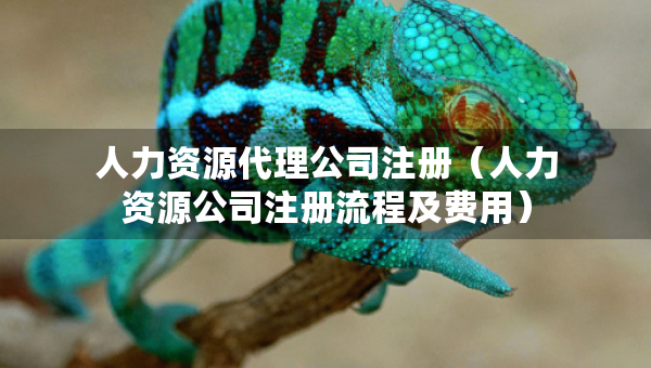 人力资源代理公司注册（人力资源公司注册流程及费用）