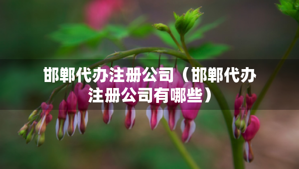 邯郸代办注册公司（邯郸代办注册公司有哪些）