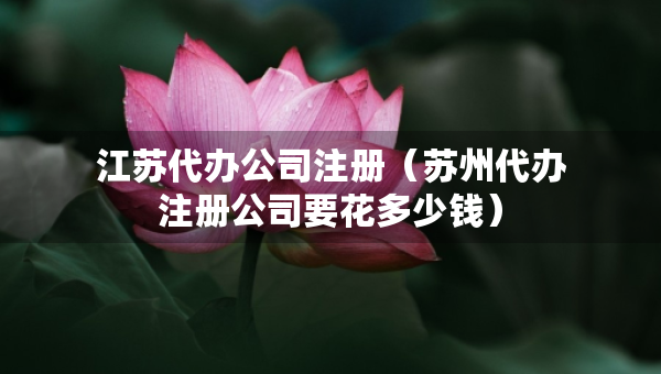 江苏代办公司注册（苏州代办注册公司要花多少钱）