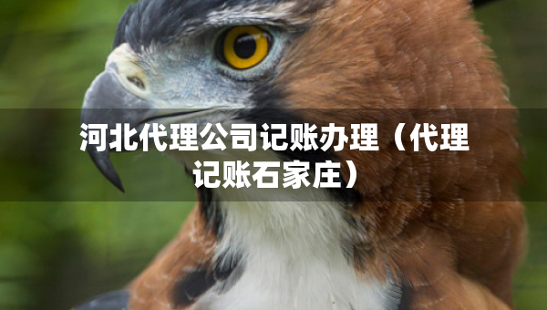 河北代理公司记账办理(代理记账石家庄) 河北代理公司记账办理(代理记账石家庄)