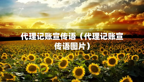 代理记账宣传语（代理记账宣传语图片）