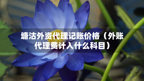 塘沽外资代理记账价格（外账代理费计入什么科目）