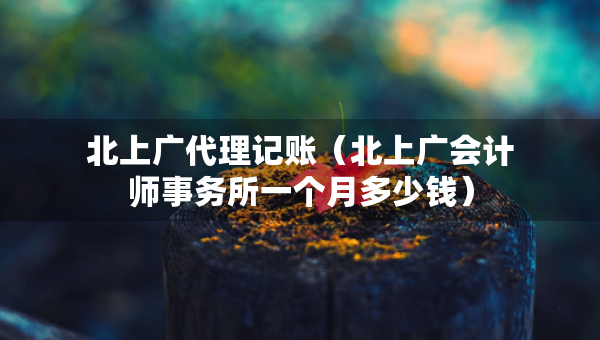 北上广代理记账（北上广会计师事务所一个月多少钱）