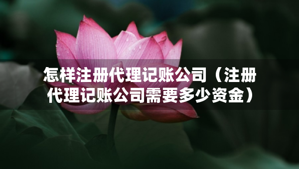 怎样注册代理记账公司（注册代理记账公司需要多少资金）