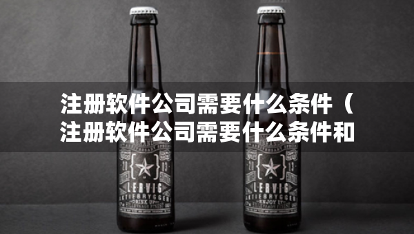 注册软件公司需要什么条件（注册软件公司需要什么条件和资质）