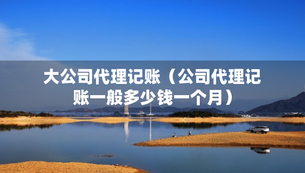 大公司代理记账（公司代理记账一般多少钱一个月）
