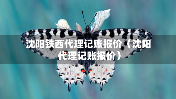 沈阳铁西代理记账报价（沈阳 代理记账报价）